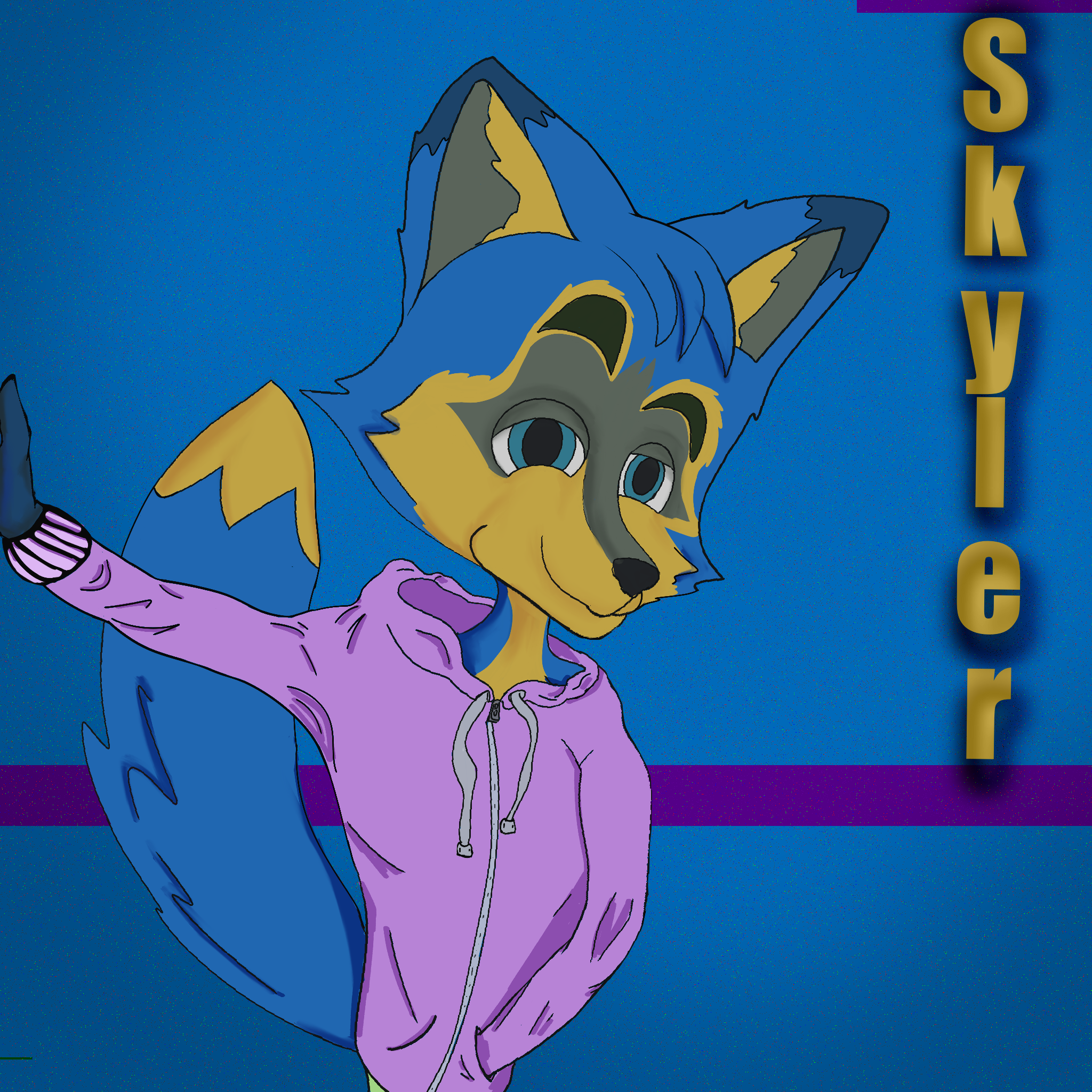 Skyler The Bandit Fox